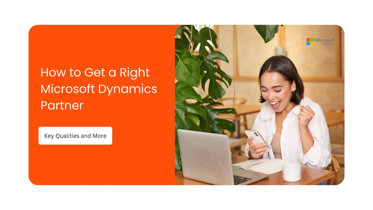 How to Choose the Best Microsoft Dynamics Partner: An Expert Guide for ...