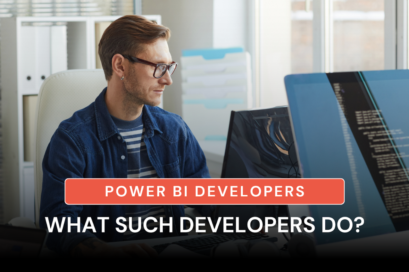 Power BI Developers